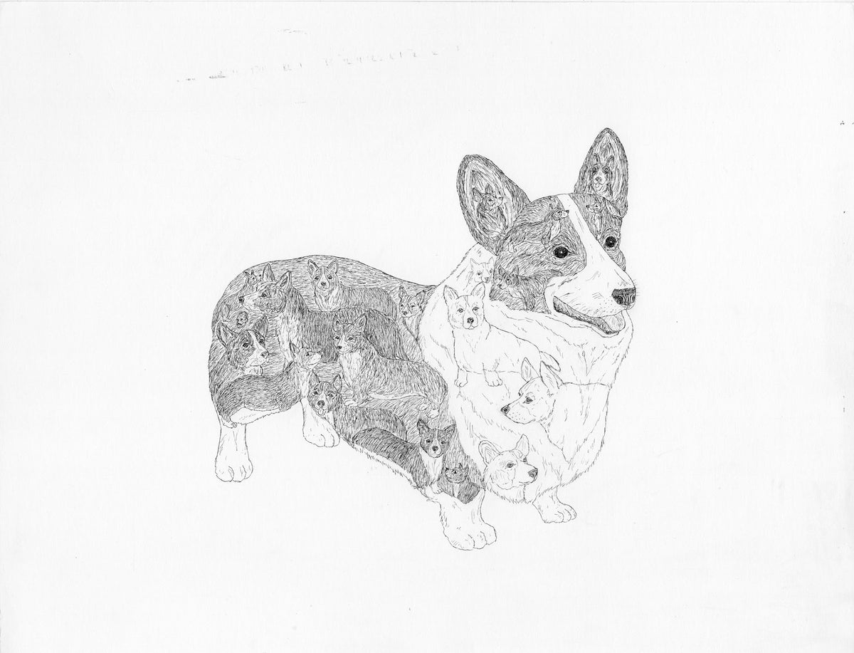 In-Corgi-able – Chazmania, image size:1200x917